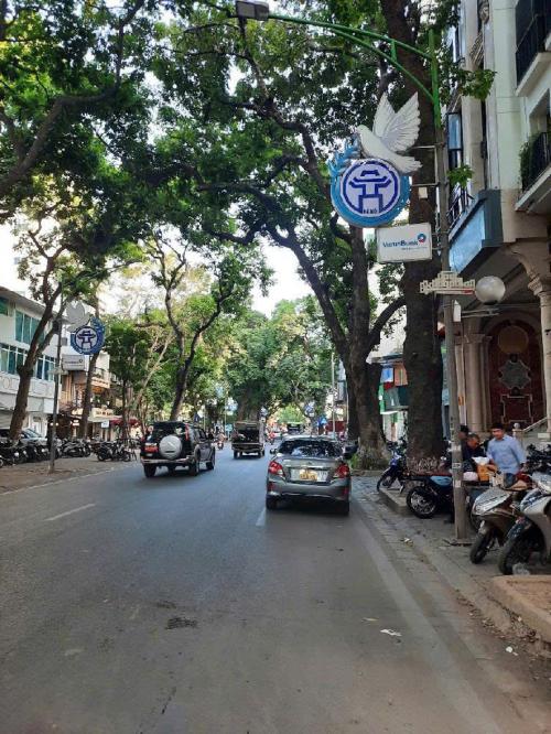 Nhà phố Quận 10 5x11, nội thất cao cấp, giá tốt 6.x tỷ